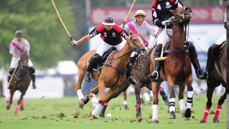 Polo – A team sport played on horseback.
