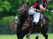 Polo Team Sport Played Horseback.