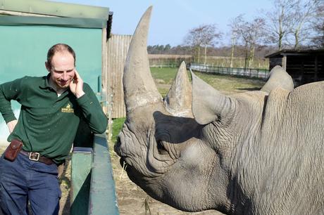 Beyond The Barriers @ Howletts