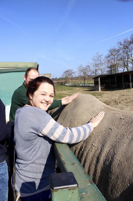 Beyond The Barriers @ Howletts