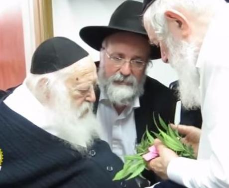 Picture of the Day and interesting psak about marijuana and Pesach