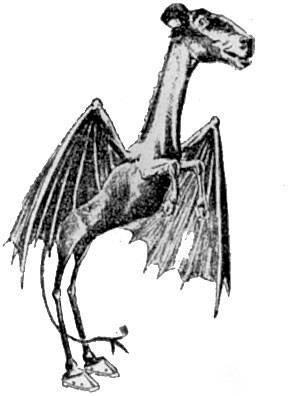 Cryptid Files: The Jersey Devil