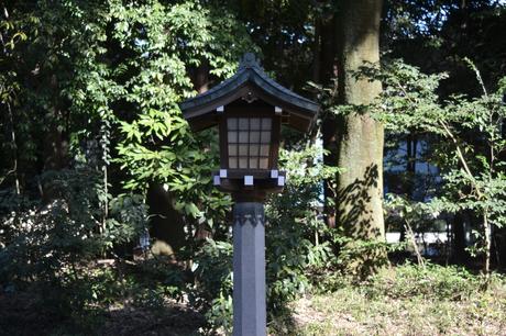 Asakusa Temple and Meiji-Jingu :: Tokyo Photo Diary