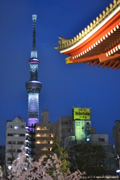 Asakusa Temple and Meiji-Jingu :: Tokyo Photo Diary