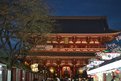 Asakusa Temple and Meiji-Jingu :: Tokyo Photo Diary