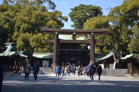 Asakusa Temple and Meiji-Jingu :: Tokyo Photo Diary