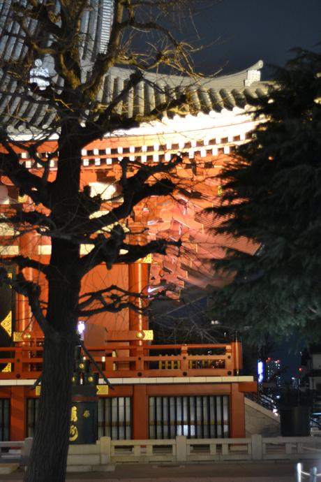 Asakusa Temple and Meiji-Jingu :: Tokyo Photo Diary
