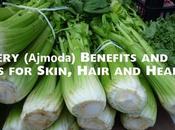 Celery (Ajmoda) Benefits Uses Skin, Hair Health