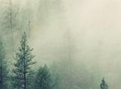 REVIEW: Contemplations Lisa Gott