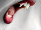 Dark Night’s Killer Vampires