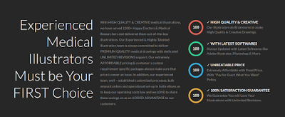 Medical Illustrations Online at Unbeatable Price and Quality