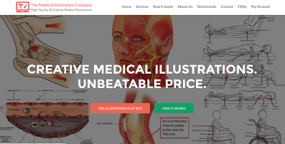 Medical Illustrations Online at Unbeatable Price and Quality