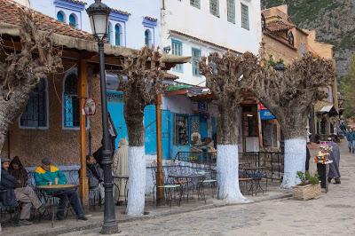 Morocco Odyssey 5: Chefchaouen (iii)