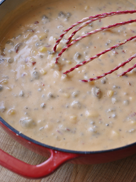 homemade-cheese-dip