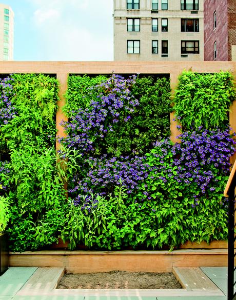 urban vertical garden 