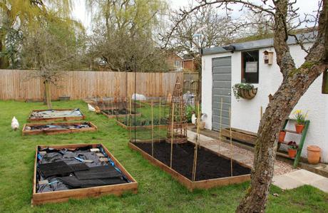 veg garden in april