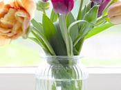 Vase Monday Brandy Snap Tulip Collection