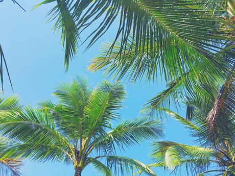 Paradise in Ilha Grande Paradise in Ilha Grande