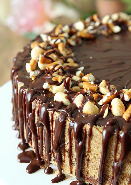 Chocolate Peanut Butter Cheesecake with Pretzel Crust