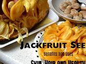 Jackfruit Seeds Benefits Uses Skin, Hair Health