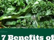 Kale: Science Backed Benefits