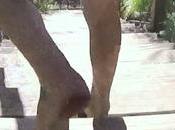 Waifs Ruby Boots City Winery