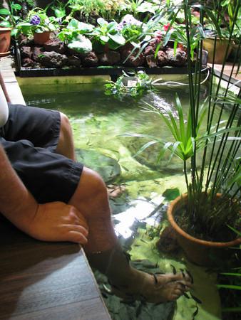 Dan's feet in the water, getting a fish pedicure at a fish spa