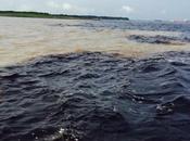 Staying Lodge Amazon Jungle Brazil