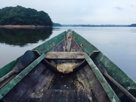 Staying at an Eco Lodge in the Amazon Jungle of Brazil