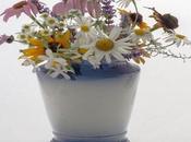 Housewarming Present Ideas!