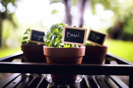 DIY Mobile Herb Garden With Miracle-Gro® Potting Mix