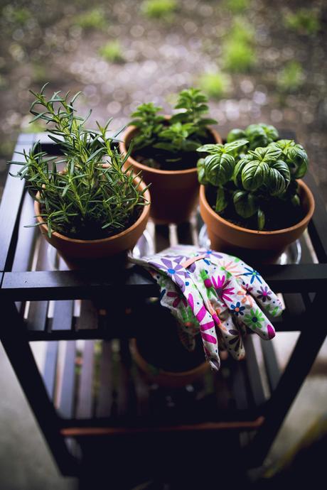 DIY Mobile Herb Garden With Miracle-Gro® Potting Mix