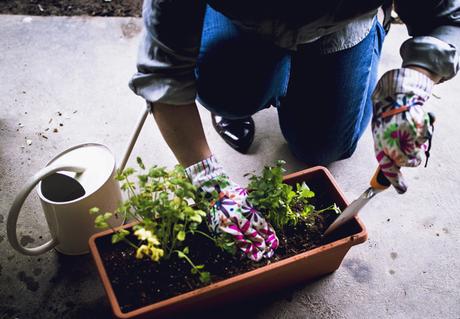 DIY Mobile Herb Garden With Miracle-Gro® Potting Mix