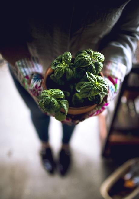 DIY Mobile Herb Garden With Miracle-Gro® Potting Mix