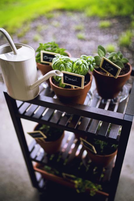 DIY Mobile Herb Garden With Miracle-Gro® Potting Mix