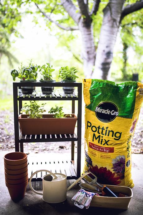 DIY Mobile Herb Garden With Miracle-Gro® Potting Mix