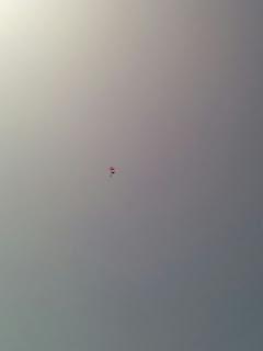 Skydiving for Alyn (video)