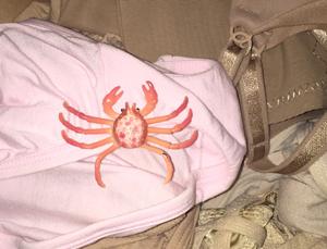 underwearcrabs