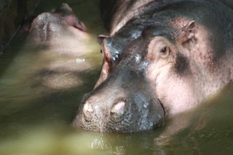 Taken in November of 2013 at Bannerghatta 