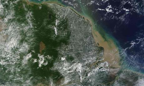 Massive Reef Discovered at the Mouth of the Amazon River