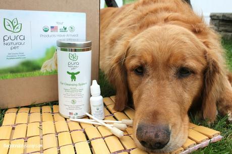 pure naturals pet organic and chemical free ear cleansing system for dogs