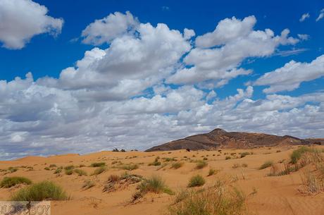 Majestic Morocco: The Sahara Desert Experience