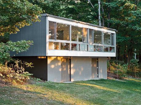 Modern guesthouse renovation in New York with Arcadia curtain wall