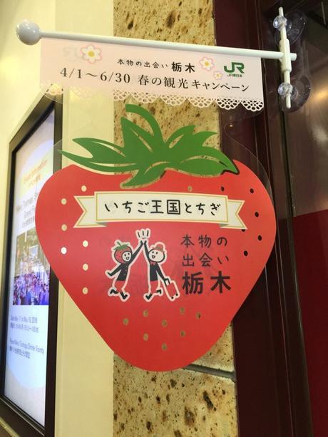 nikko kesarazu japan glasgow foodie explorers travel