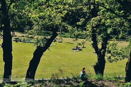 Parque Oriental do Porto