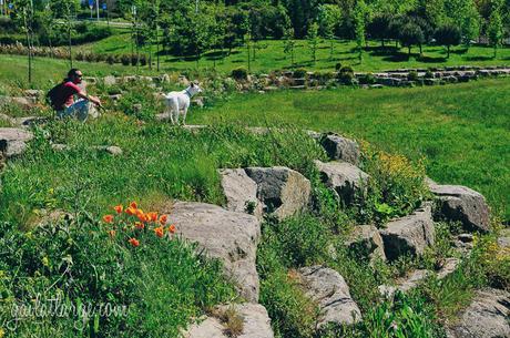 Parque Oriental do Porto