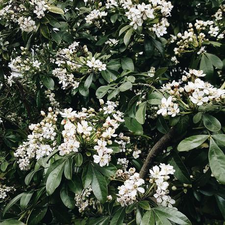 Sundaze 14 Sundaze 14