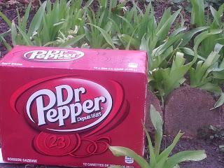 SummerFUNd at Walmart (US)