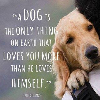 Dog loves you more than itself