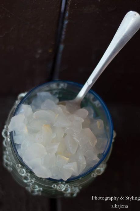 Sugar Palm Ice cream- How to make Ice cream at Home without Ice cream Maker